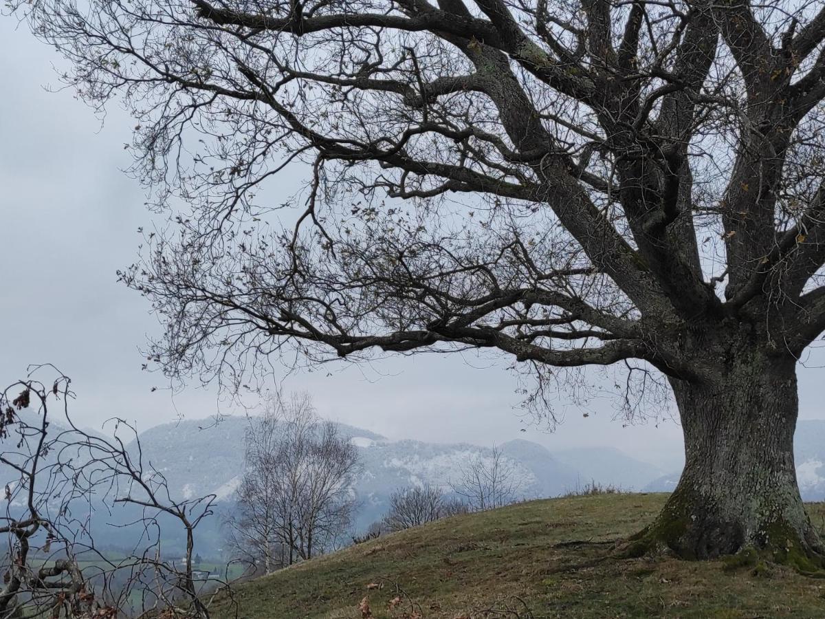 Gite Des 3 Arbres Aramits Екстериор снимка